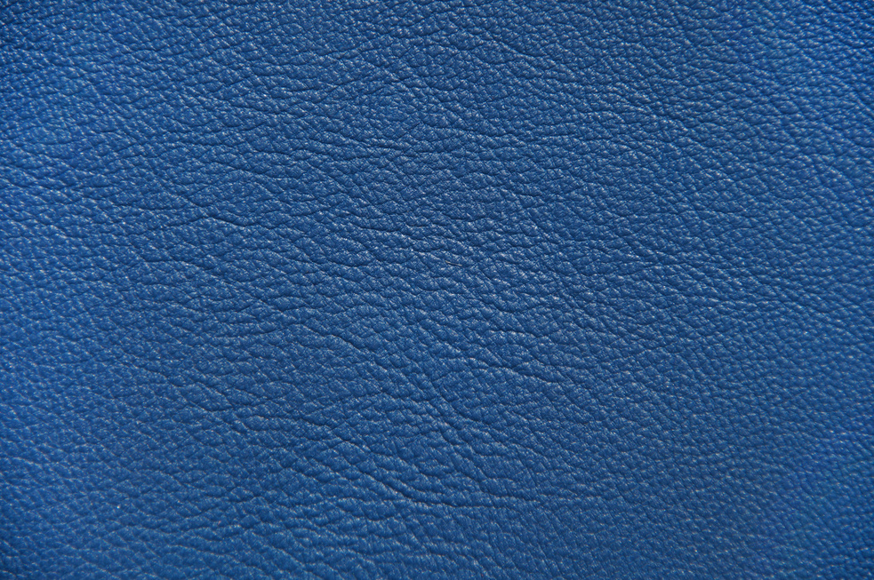 Blue Leather Texture Detail