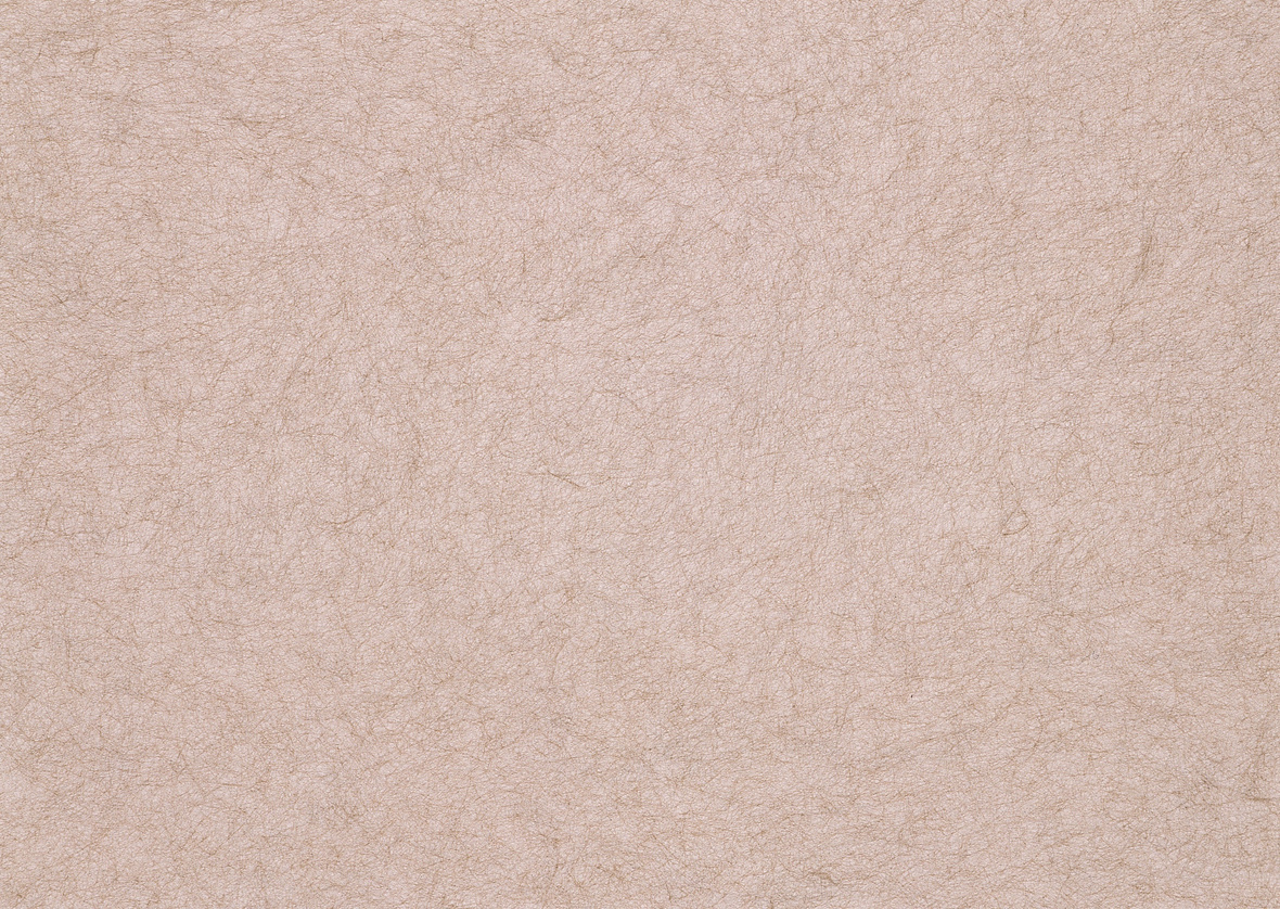 Brown Paper Texture